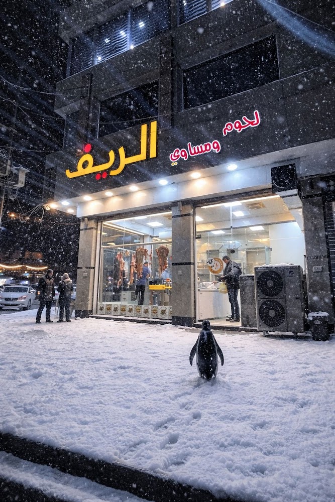 لحوم ومشويات الريف
