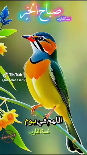 مخبز المستنصرية