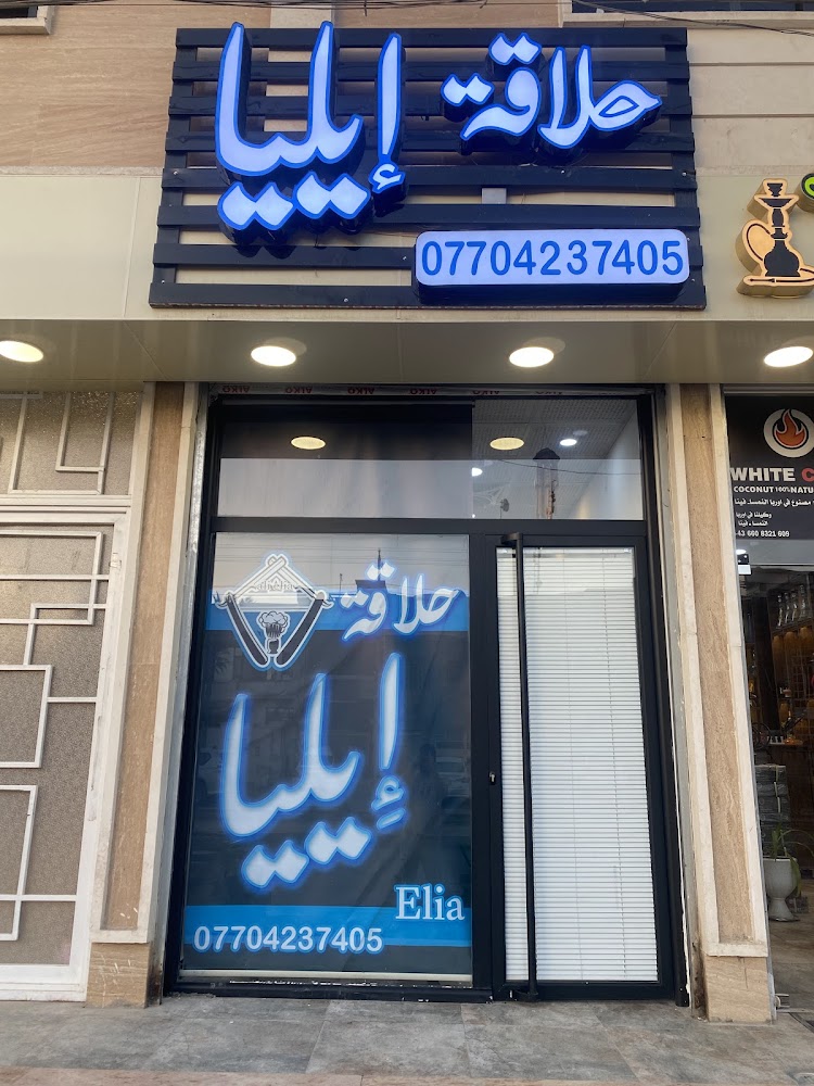 علي ايليا