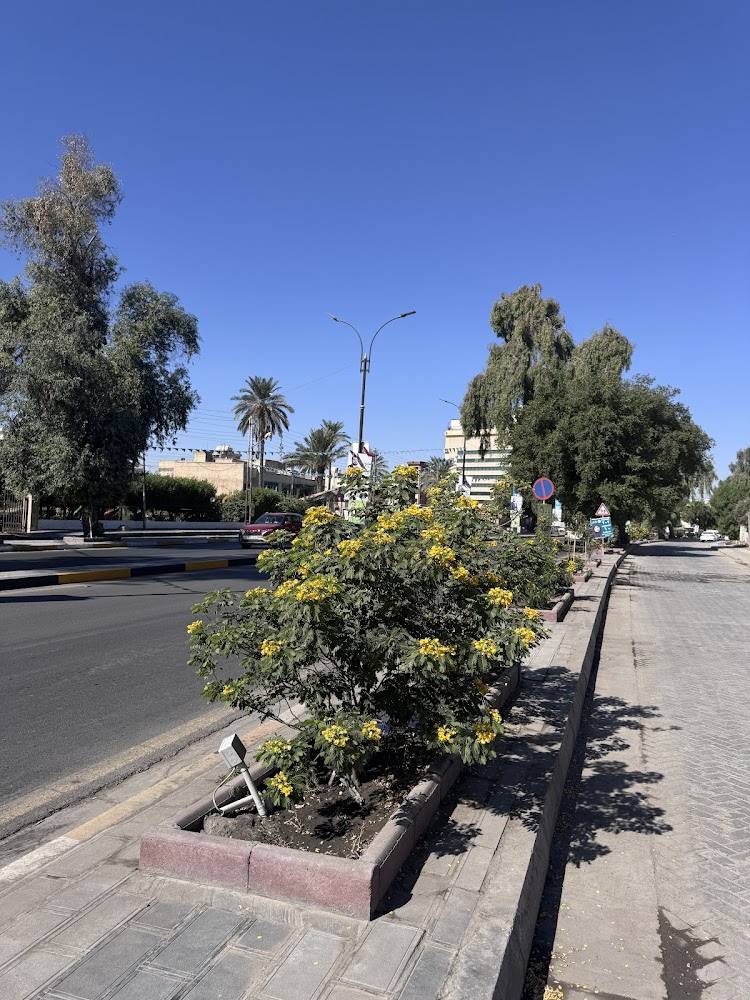 دائرة ماء خام العطيفية