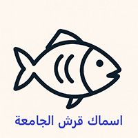 Qersh Aljameaa Fish