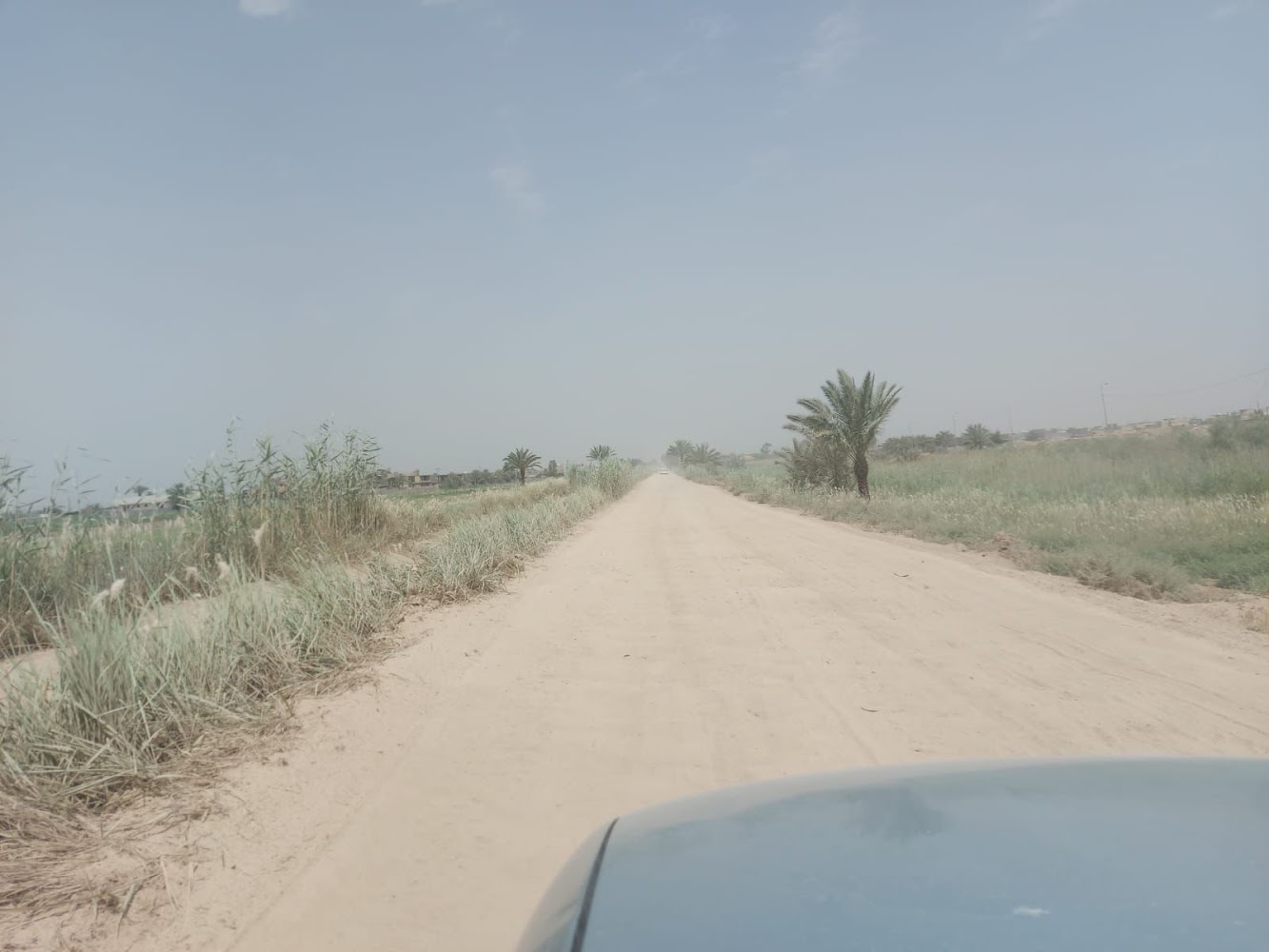 عمارة الربيعي