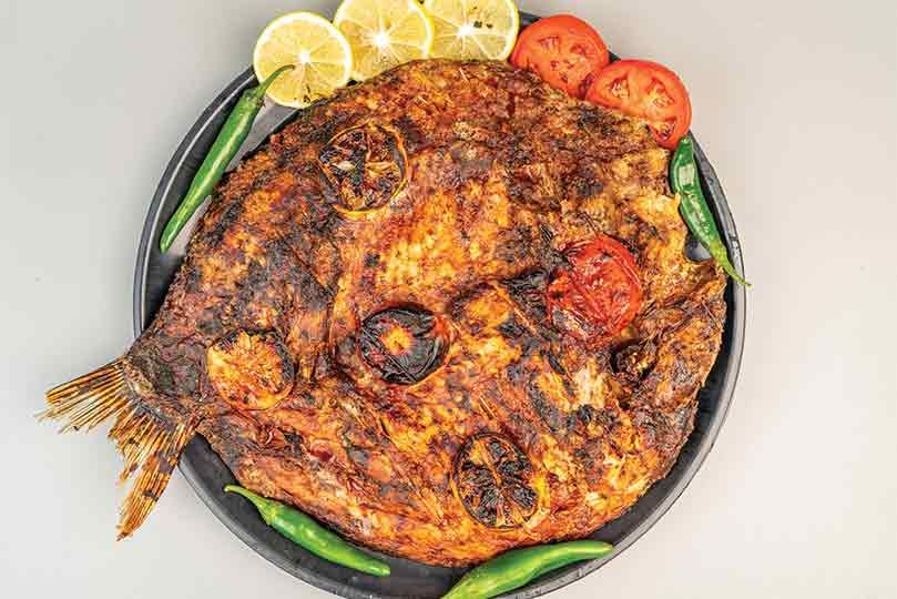 Kanary Fish